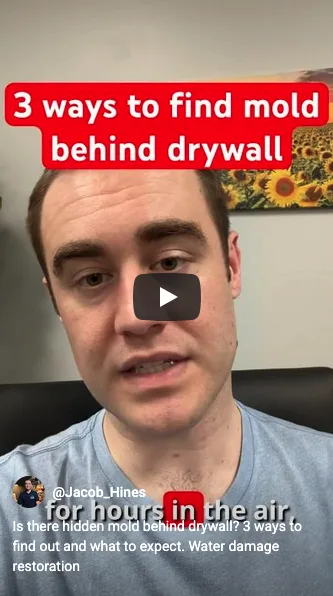 Signs of Mold Behind Drywall Video